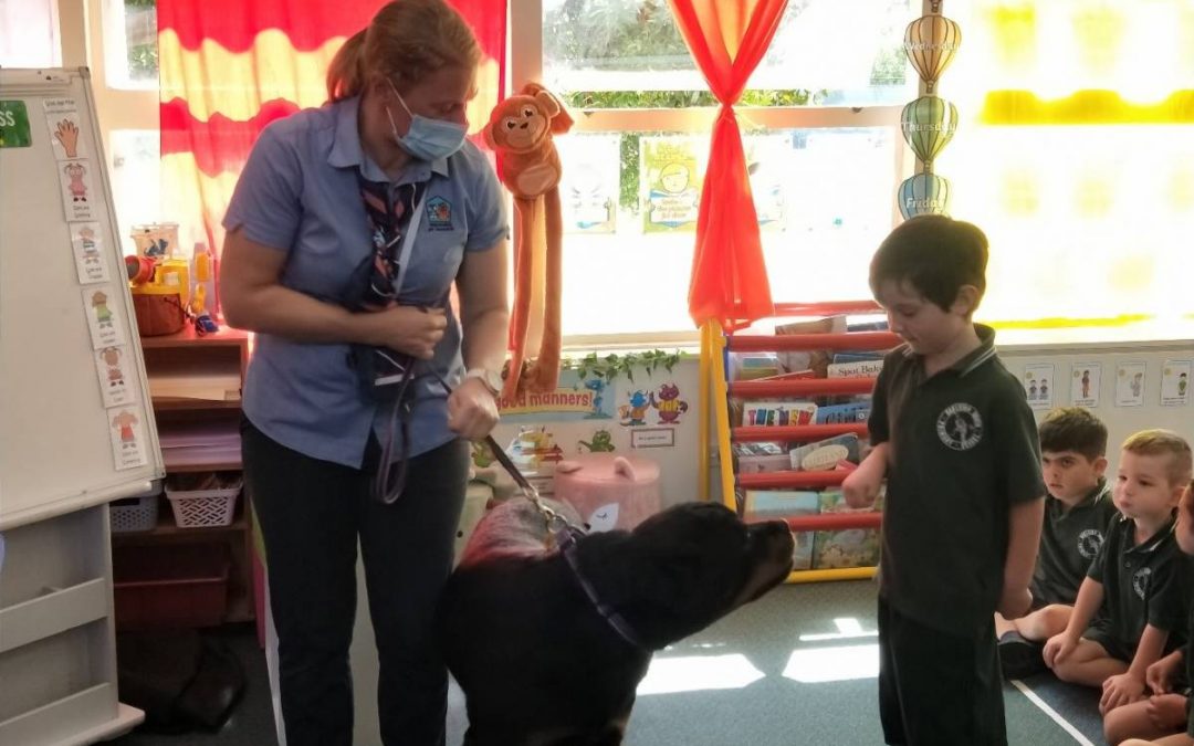 RESPONSIBLE PET INCURSION