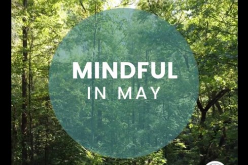 MINDFUL IN MAY