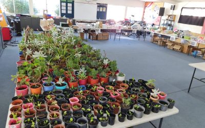 MOTHER’S DAY STALL – HUGE THANKS TO PARENT GROUP