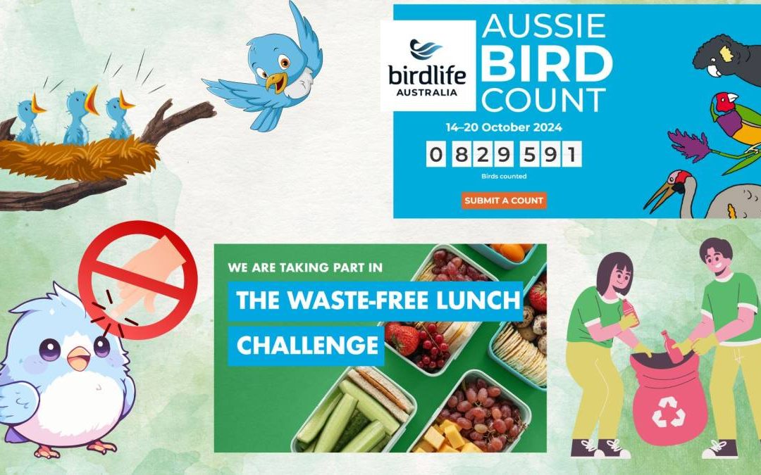 SUSTAINABILITY NEWS: BABY BIRDS, AUSSIE BIRD COUNT & WASTE FREE WEDNESDAY
