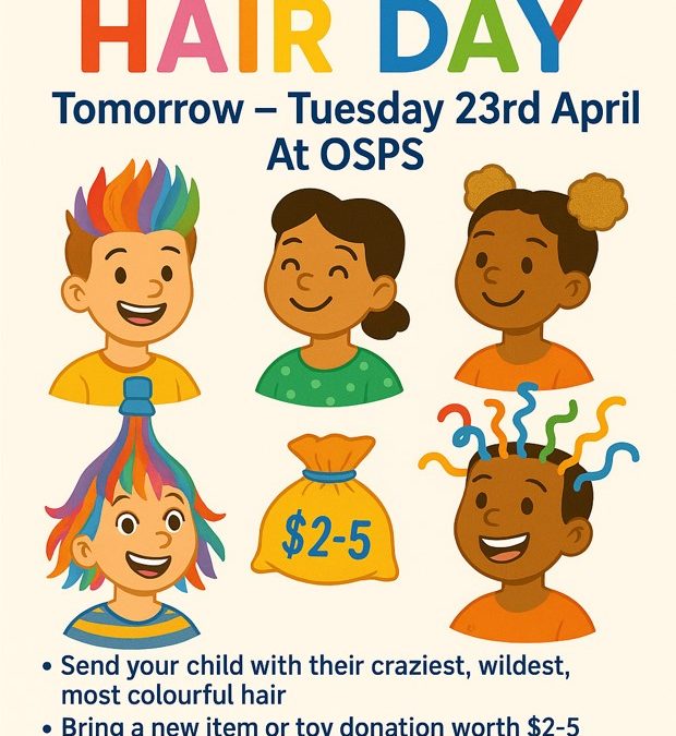CRAZY HAIR DAY—WEDNESDAY 23RD APRIL