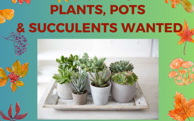 WE’LL TAKE ALL PLANTS, POTS & SUCCULENTS